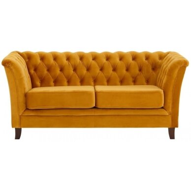 Dvivietė Sofa Derby 5