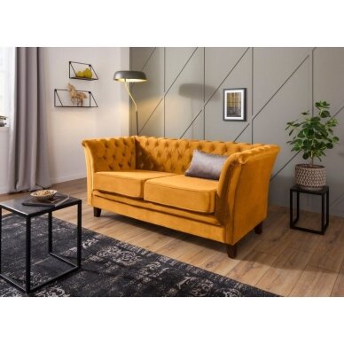 Dvivietė Sofa Derby 1