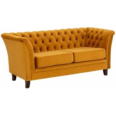 Dvivietė Sofa Derby