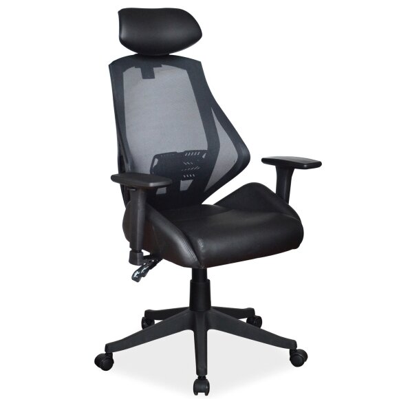 Kėdė SG 1090 2 Kėdė SG 1090 2