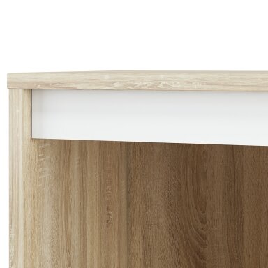 Lentyna ML-10011