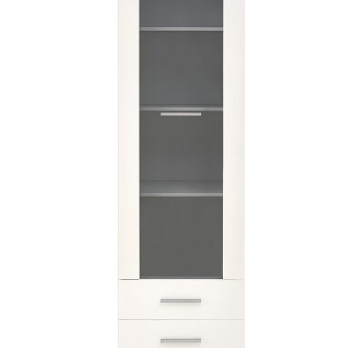 Vitrina HL  313