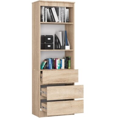 Spinta R 60 cm CLP 2