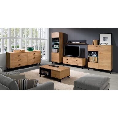 JUR 85134