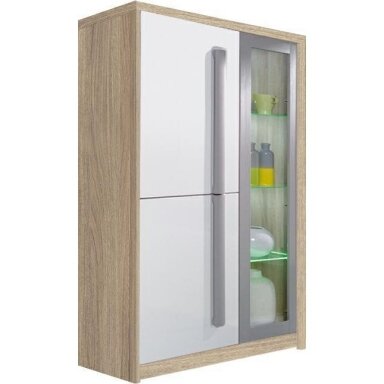 Vitrina ROM/2a