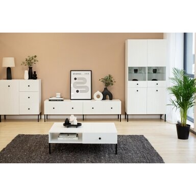 Vitrina Viena 2D Balta / Juoda